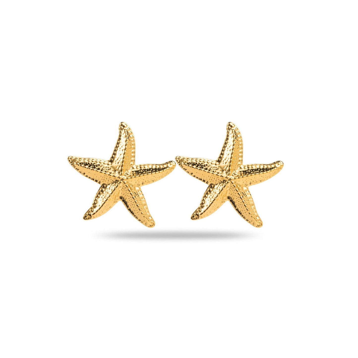 Boucles d'Oreilles Etoile de Mer